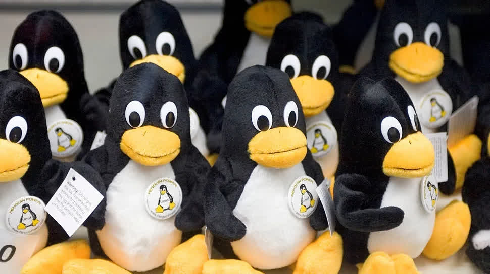 What Linux Distribution Should You Use?